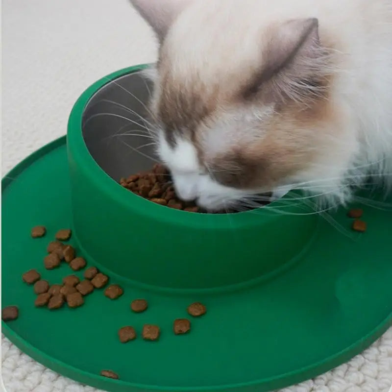 Pet Feeder Bowl
