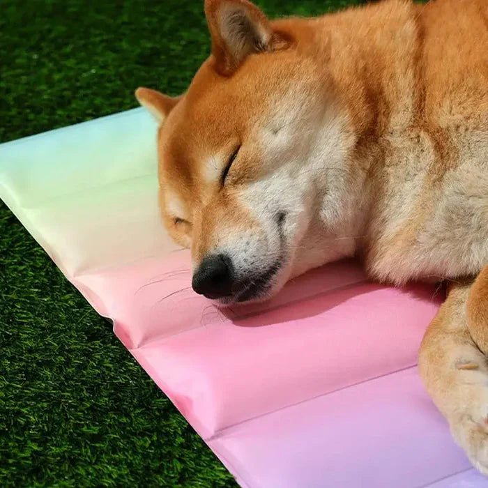 Rainbow Pet Cooling Mat