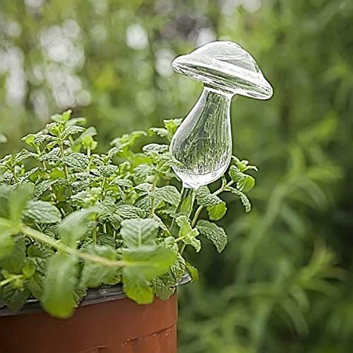 Mushroom Self Watering Devices