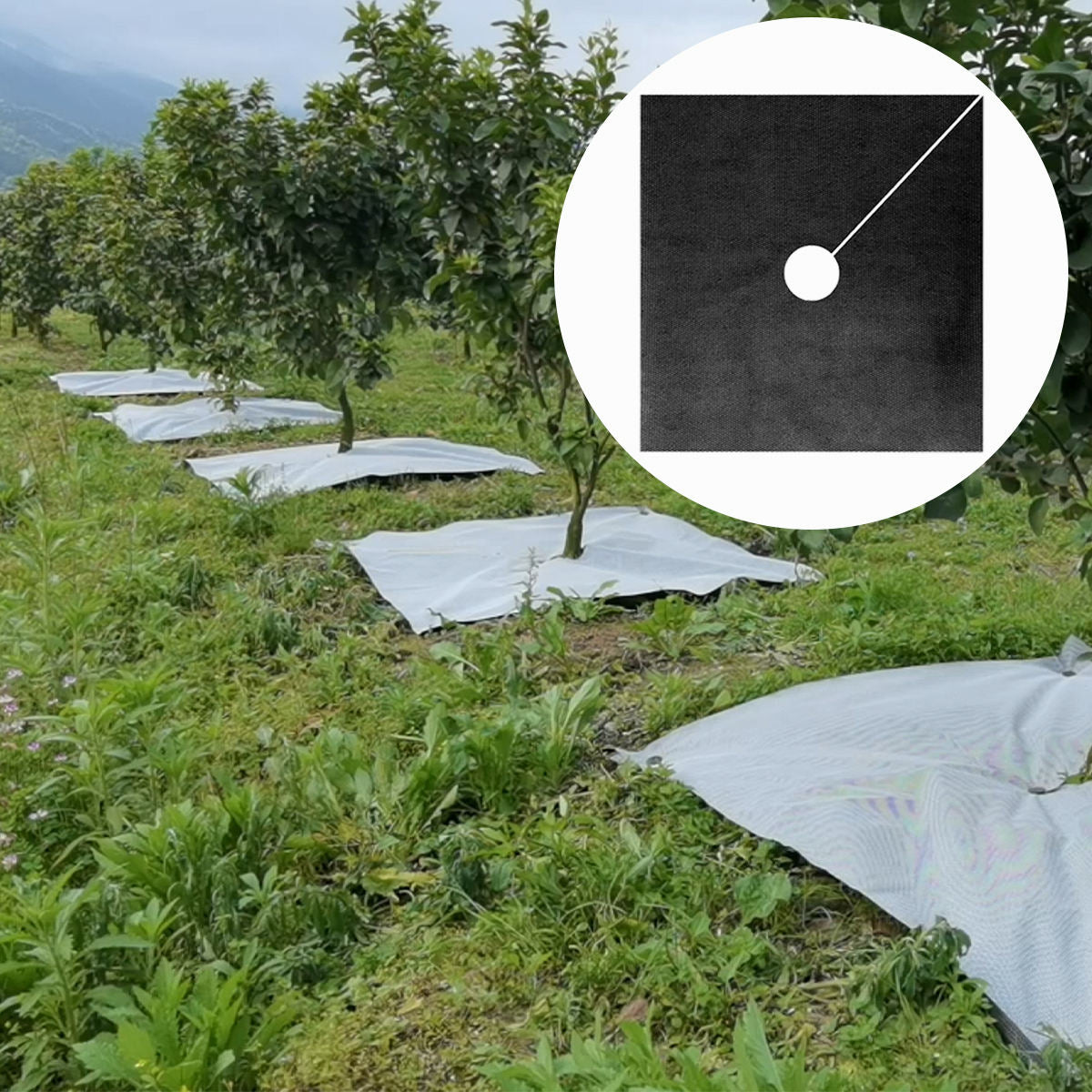 Weed Barrier Fabric