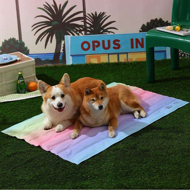 Rainbow Pet Cooling Mat
