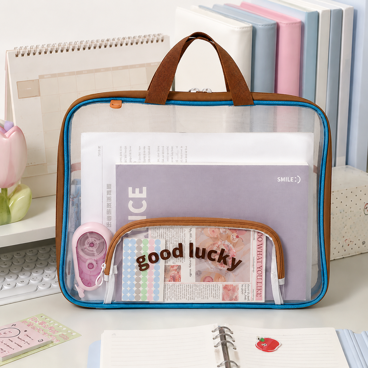 Transparent Student Carry Organizer