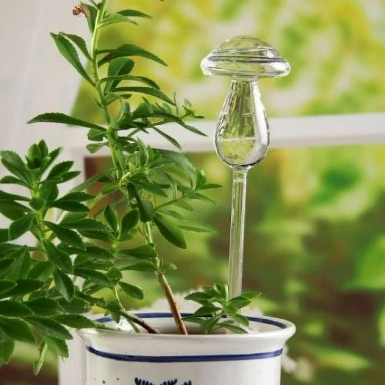 Mushroom Self Watering Devices