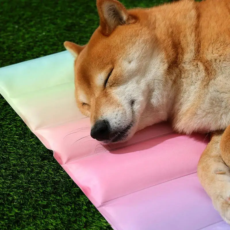 Cooling Mat For Pet