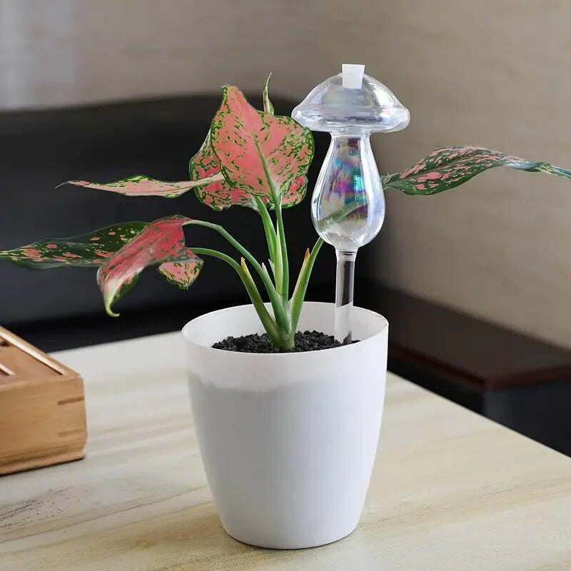 Mushroom Self Watering Devices