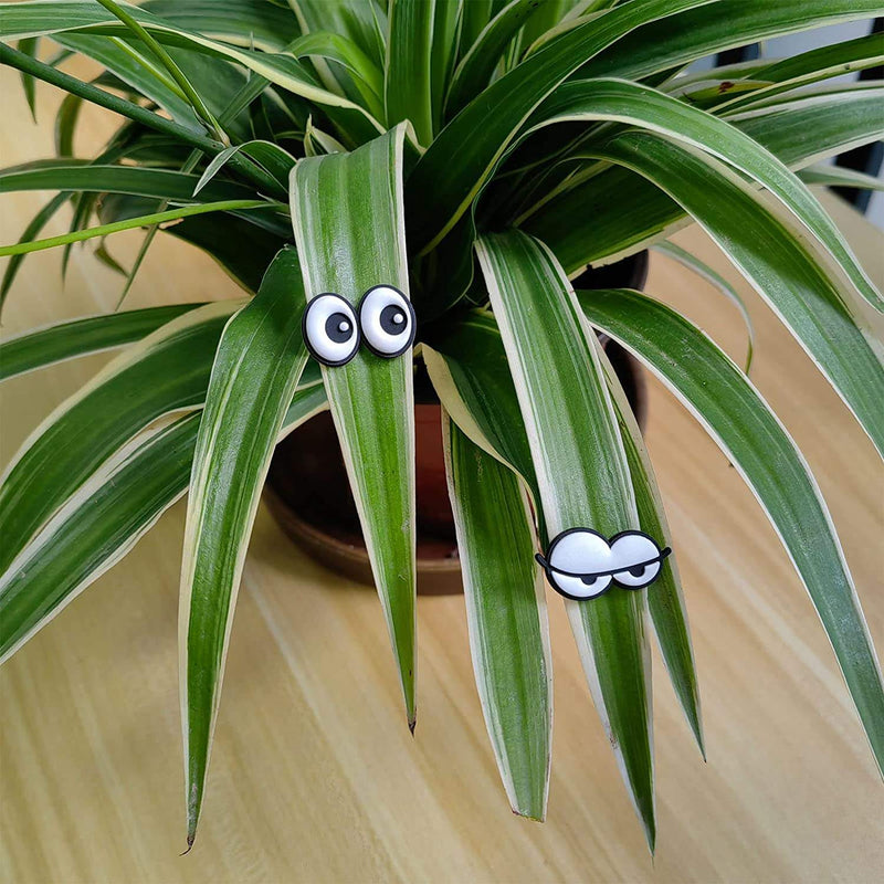 Plant Magnets Eyes for Potted Plants