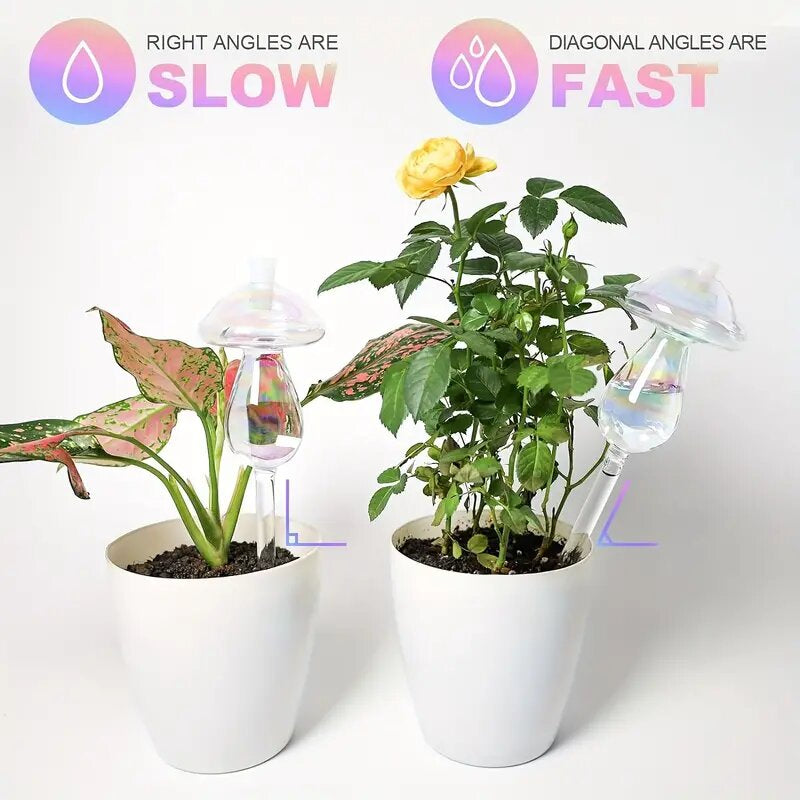 Mushroom Self Watering Devices