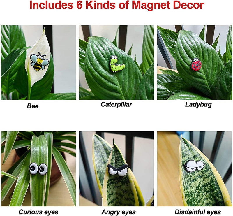 Plant Magnets Eyes for Potted Plants