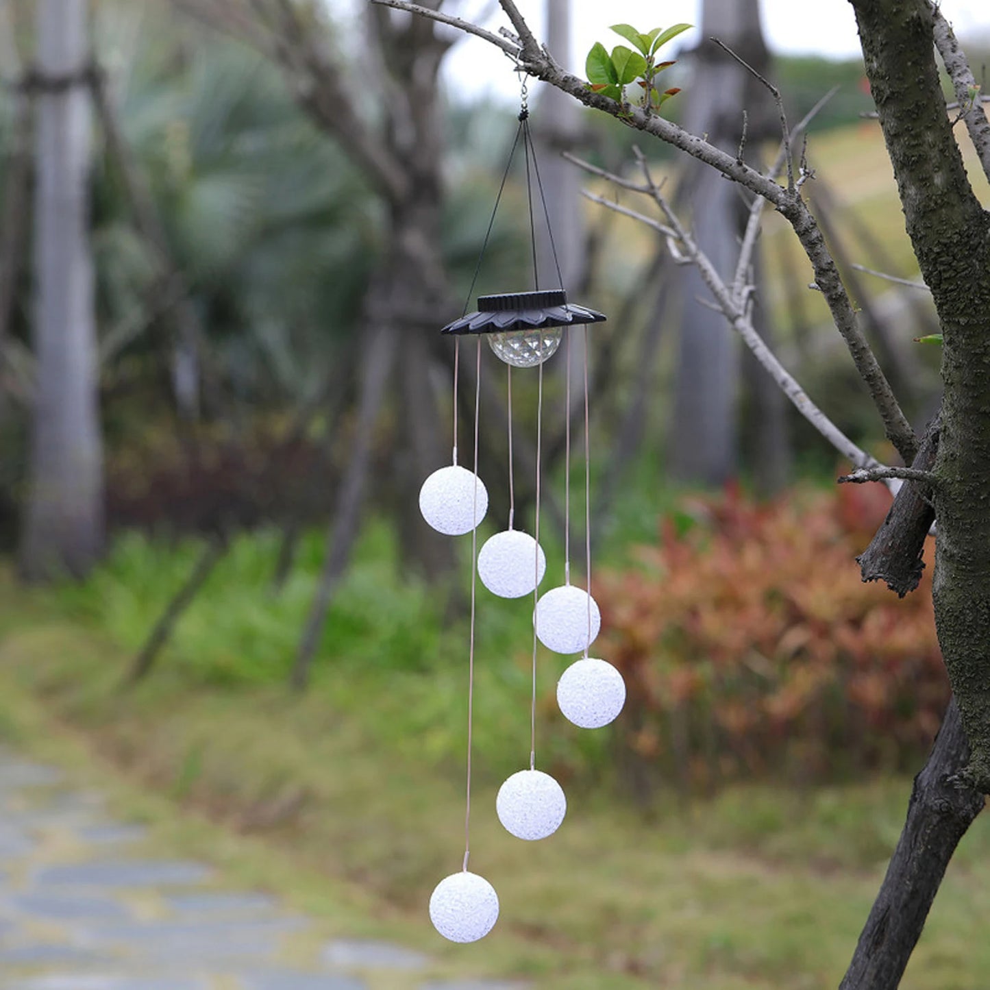 colorful ball Solar LED decorative