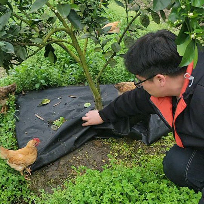Weed Barrier Fabric