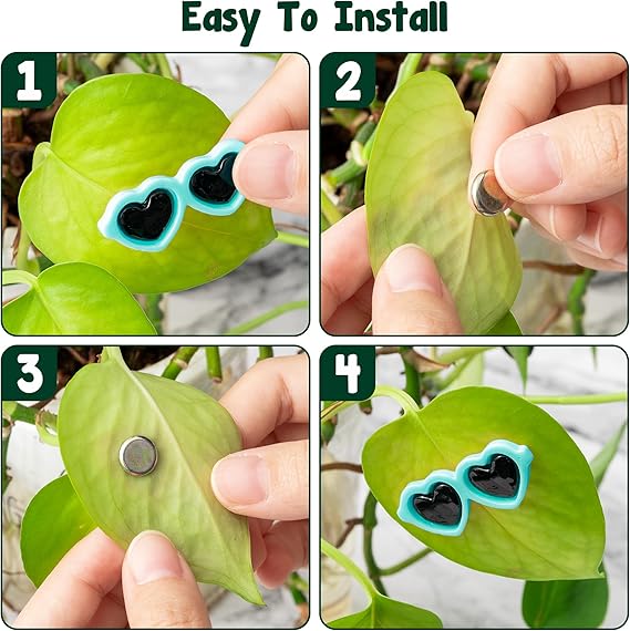 Plant Magnets Eyes for Potted Plants