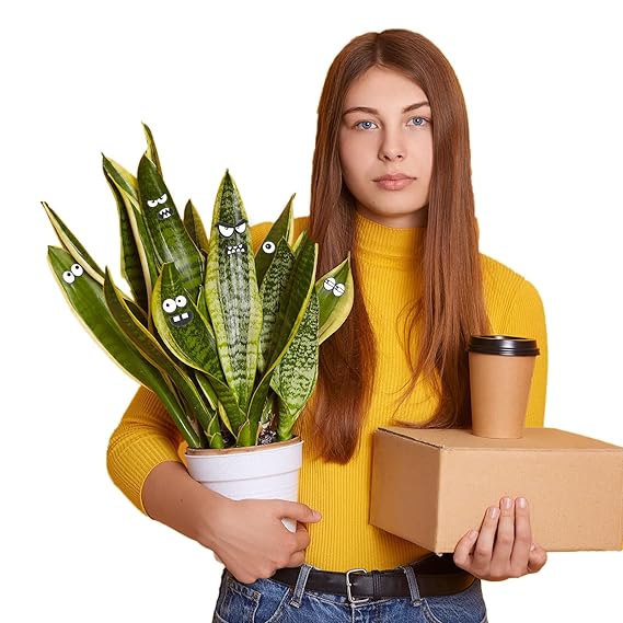 Plant Magnets Eyes for Potted Plants