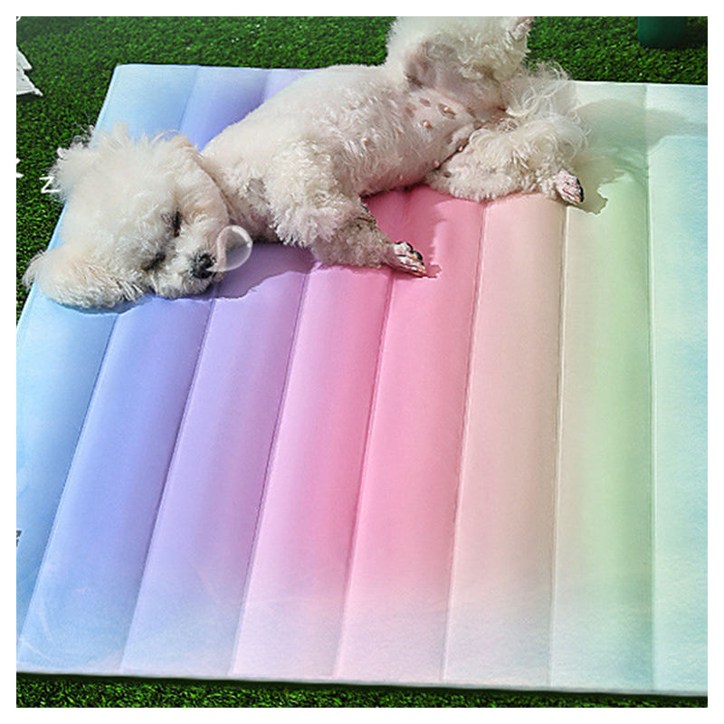 Rainbow Pet Cooling Mat