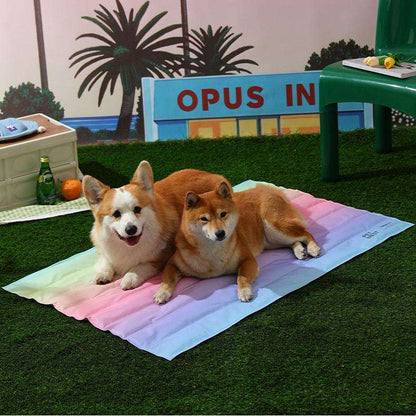 Rainbow Pet Cooling Mat